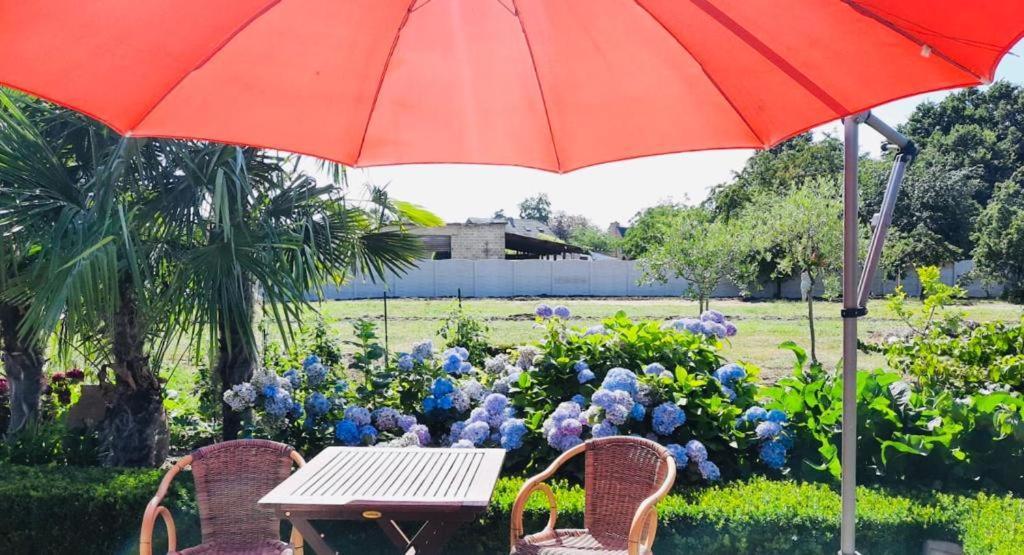 B&B Casa Roman & Vakantiewoning Voor 1 Pers Tot Max 32 Personen Zonhoven Eksteriør billede