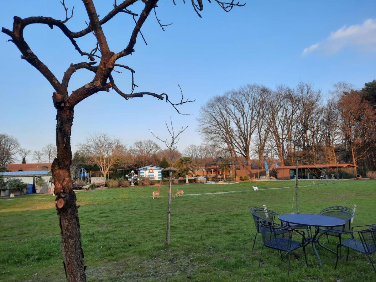 B&B Casa Roman & Vakantiewoning Voor 1 Pers Tot Max 32 Personen Zonhoven Eksteriør billede
