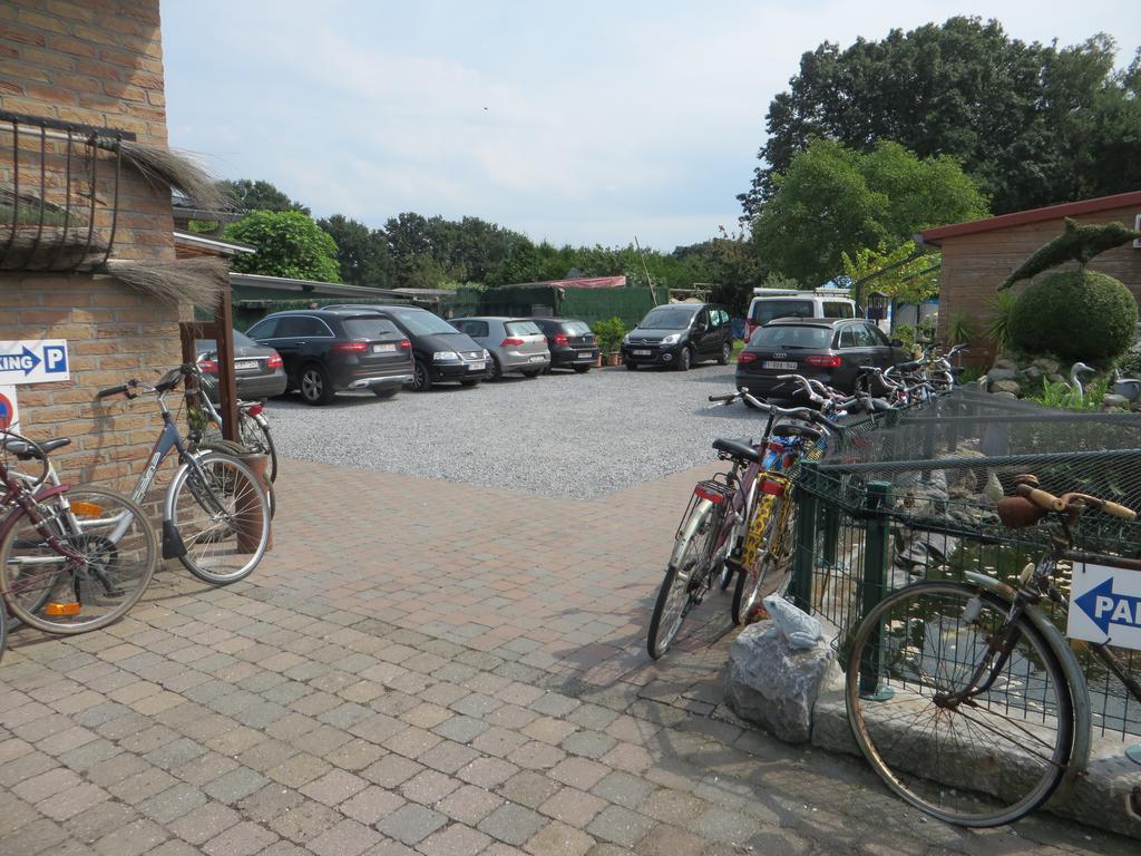 B&B Casa Roman & Vakantiewoning Voor 1 Pers Tot Max 32 Personen Zonhoven Eksteriør billede