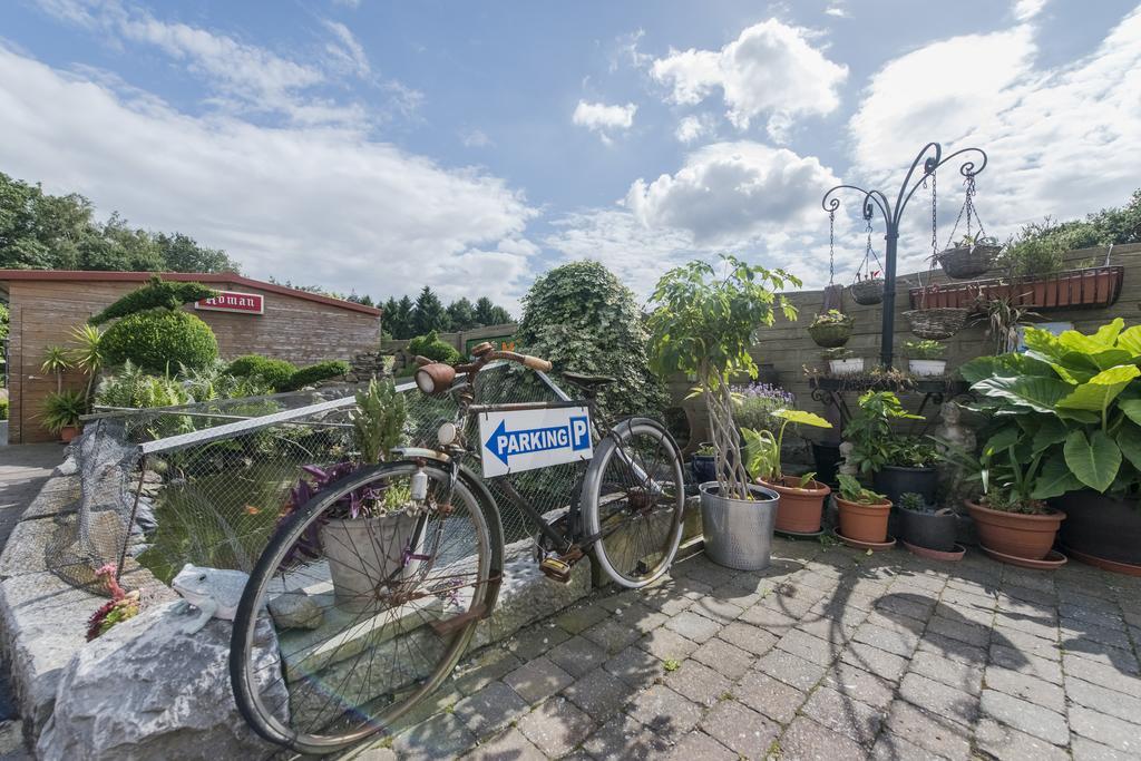 B&B Casa Roman & Vakantiewoning Voor 1 Pers Tot Max 32 Personen Zonhoven Eksteriør billede